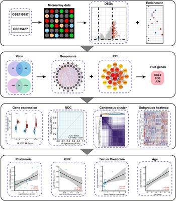 Expression of CCL2, FOS, and JUN May Help to Distinguish Patients With IgA Nephropathy From Healthy Controls